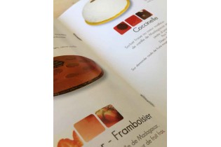 imprimerie et imprimeur en ligne brochure